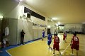 Basket 443058